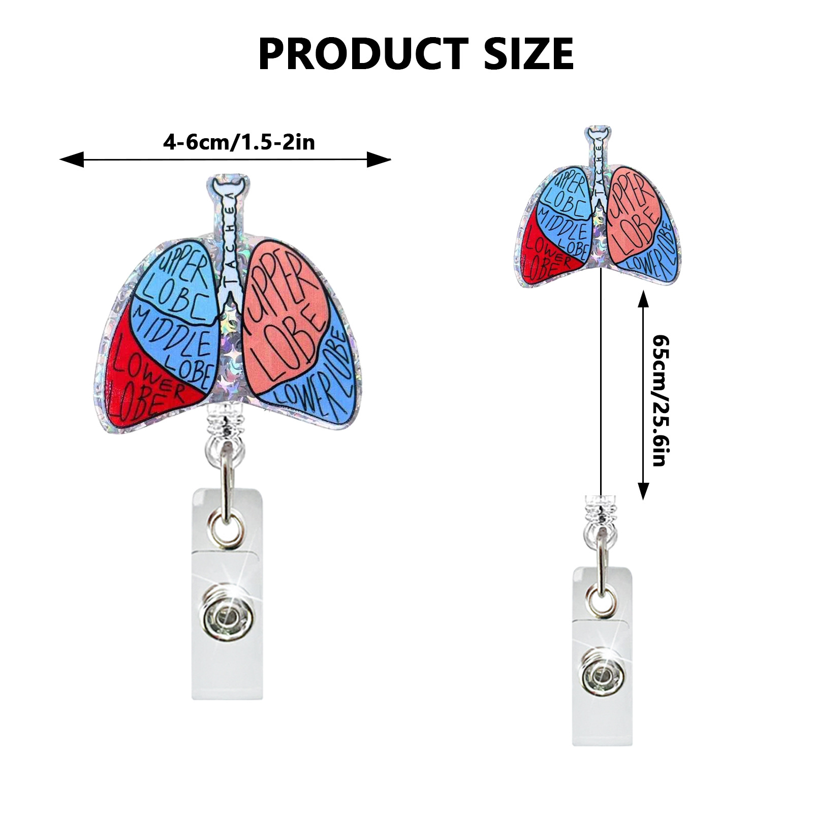 Acrylic Heart Lung Brain Kidne - đánh giá và giá Xray Tech Accessories