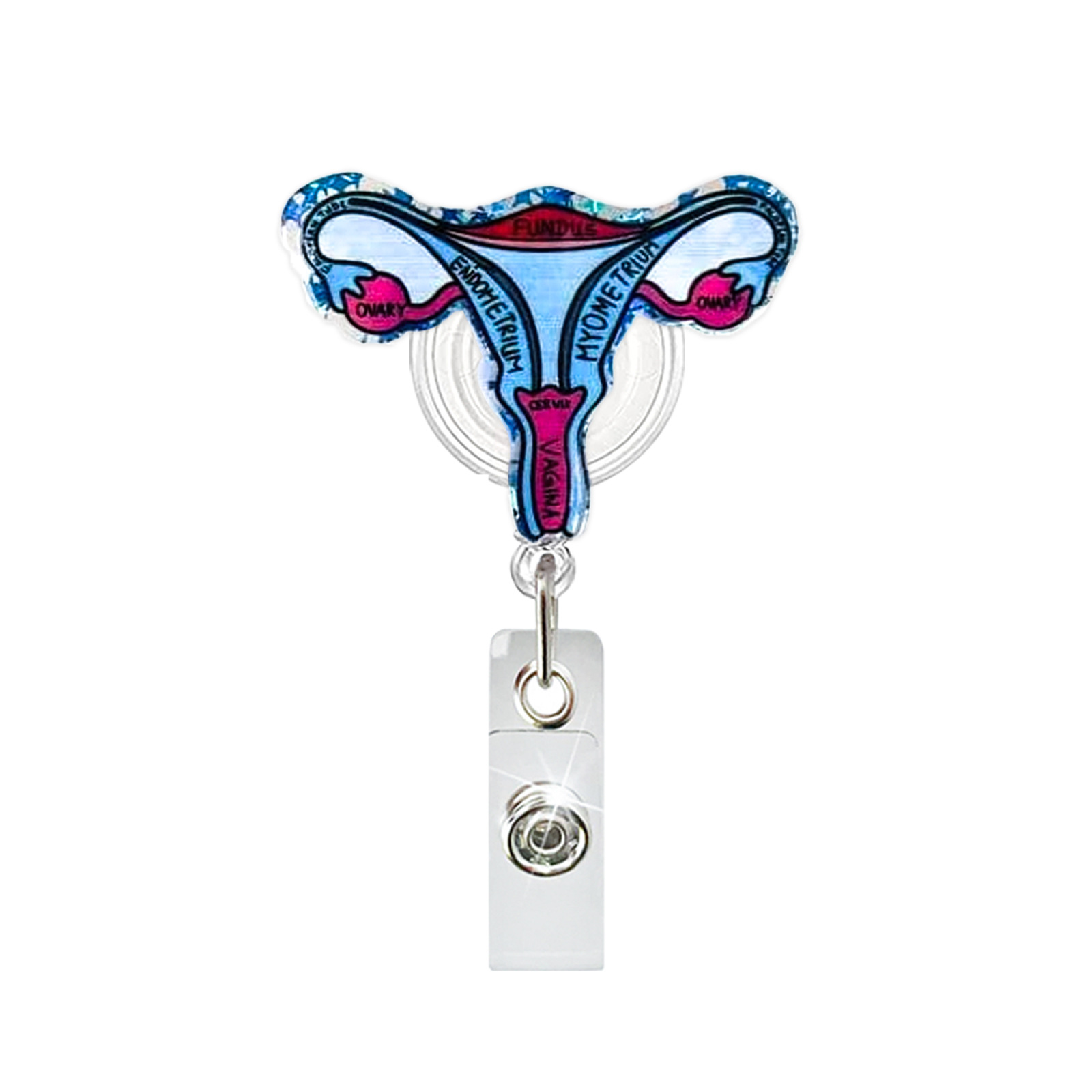 Acrylic Heart Lung Brain Kidne - đánh giá và giá Xray Tech Accessories